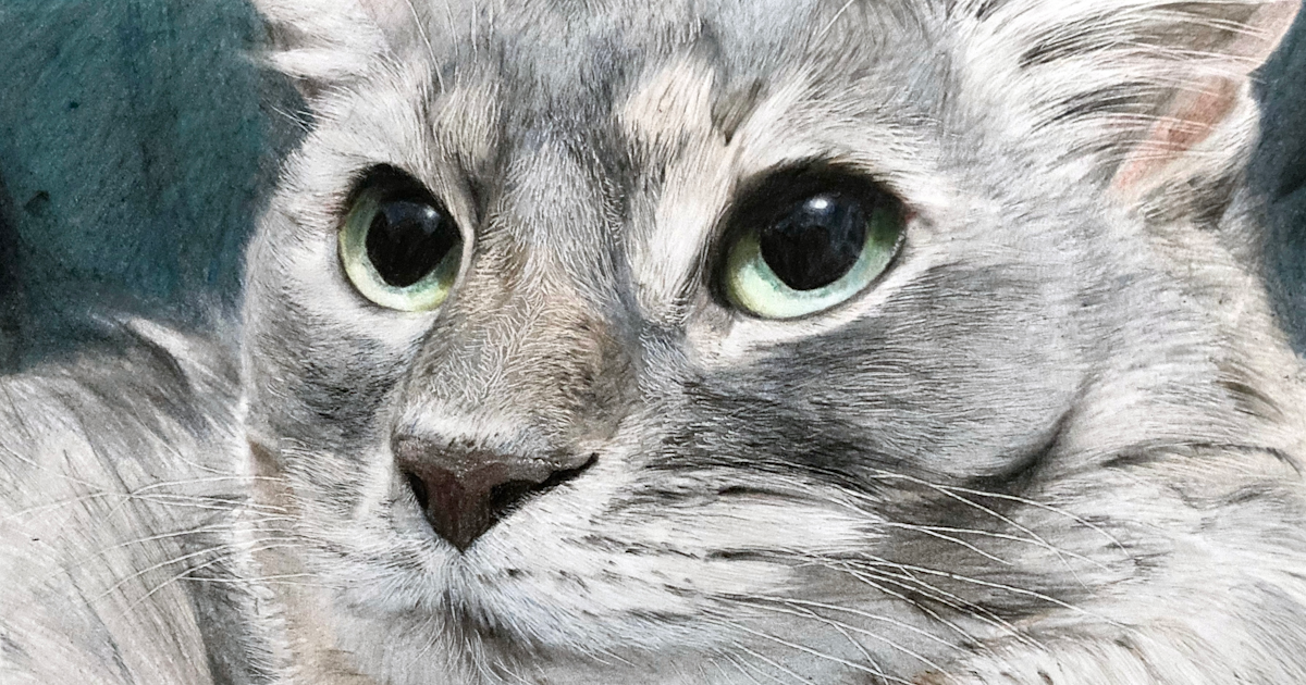 作品No.1【絵画】諏訪 梨々花（東邦大学医学部2年生）