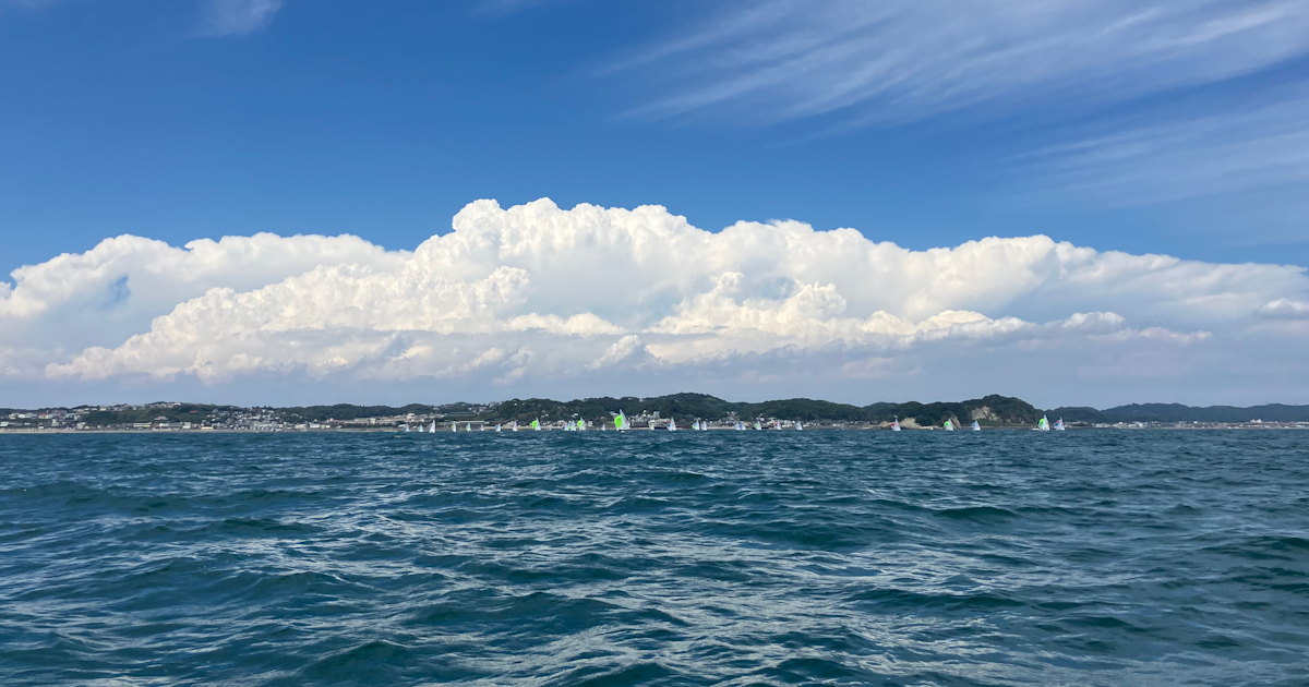 作品No.4【写真】佐藤 理紀（横浜市立大学医学部6年生）