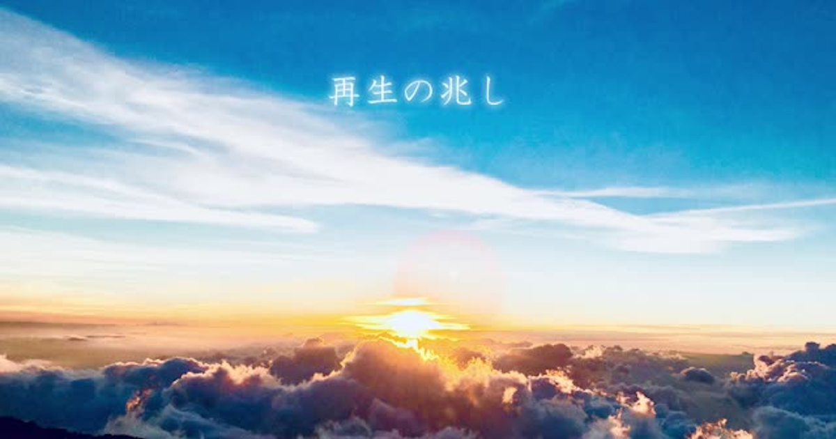 作品No.14【音楽】長岡 望（東京医科大学医学部5年生）