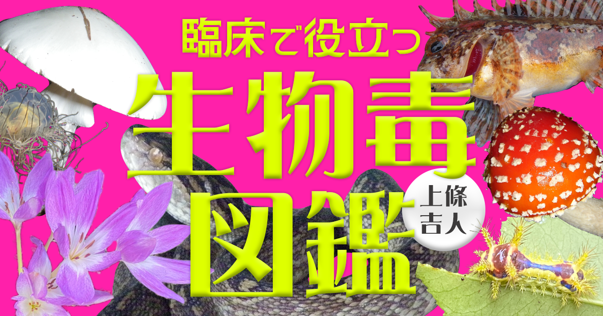 臨床で役立つ生物毒図鑑　第28回　カキシメジ　上條 吉人（埼玉医科大学教授臨床中毒学講座 / 同大学病院臨床中毒センター長）
